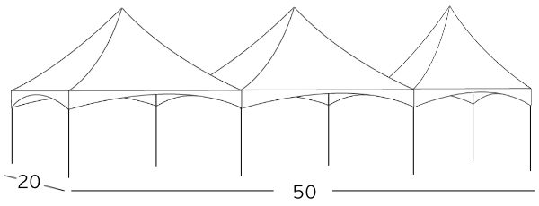 20x50 Frame Tent Rental Illustration